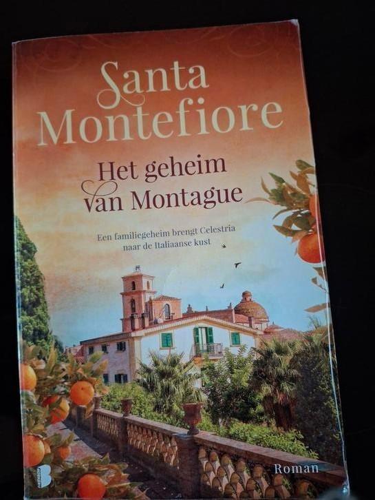 Het geheim van Montague - Santa Montefiore, Boeken, Romans, Gelezen, Europa overig, Ophalen of Verzenden
