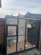 Volliere met grasparkieten, Dieren en Toebehoren, Ophalen of Verzenden, Zo goed als nieuw, Aluminium, Volière
