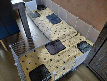 Groot Cavia binnenhok met fleece liners en pee pads beschikbaar voor biedingen