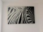 Canvas Zebra, Ophalen, 100 tot 125 cm, 75 cm of meer, Print