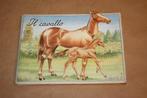 IL Cavallo - Oud prentenboek van het Paard 1949, Boeken, Ophalen of Verzenden, Gelezen