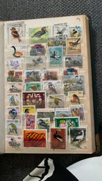 Mooie postzegels vogels (29), Ophalen of Verzenden, Dier of Natuur