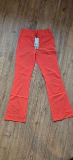 &Co woman Travel broek penelope flare flamingo pa203-1 S, Kleding | Dames, &Co Woman, Nieuw, Ophalen of Verzenden, Roze