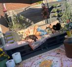 Pallet tuinbank ( 2 delen) met kussens, Tuin en Terras, Tuinsets en Loungesets, Ophalen, 4 zitplaatsen, Gebruikt, Loungeset