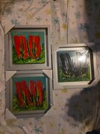 3x origineel Ad van Hassel in Baklijst., Antiek en Kunst, Kunst | Litho's en Zeefdrukken, Ophalen of Verzenden