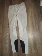 Montar wedstrijd broek wit 36/S, Ophalen of Verzenden, Zo goed als nieuw, Dressuur, Onderkleding