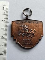 Oude penning Meppel wandelgroep P.T.T 1952 1962, Postzegels en Munten, Penningen en Medailles, Ophalen of Verzenden, Overige materialen