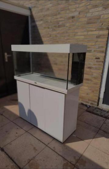 Mooi Juwel Rio 180 liter aquarium wit zonder verlichting  beschikbaar voor biedingen