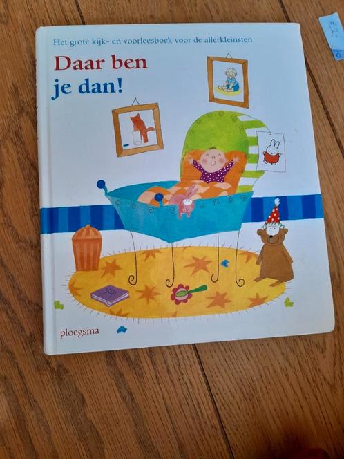 Daar ben je dan!, Boeken, Kinderboeken | Jeugd | onder 10 jaar, Zo goed als nieuw, Ophalen of Verzenden