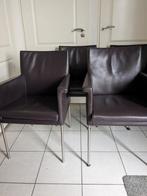 Bert Plantagie 4 x, Ophalen, Blauw