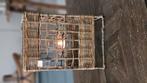 Riviera maison rustic rattan windlicht, Huis en Inrichting, Ophalen, Zo goed als nieuw, Overige materialen, 25 tot 50 cm