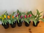 kunsttulpen real touch in pot, Huis en Inrichting, Woonaccessoires | Kunstplanten en Kunstbloemen, Ophalen of Verzenden, Nieuw