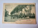oude ansichtkaart Tilburg Wilhelminapark,  uitg Vivat, Verzamelen, Ophalen of Verzenden, Voor 1920, Gelopen, Noord-Brabant