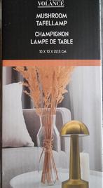 Oplaadbaar lampje nieuw in doos, Ophalen of Verzenden, Nieuw, Metaal of Aluminium