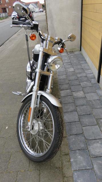 Harley davidson sportster 883 anniversary 2003 beschikbaar voor biedingen