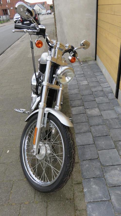 Harley davidson sportster 883 anniversary 2003, Motoren, Motoren | Harley-Davidson, Particulier, Chopper, meer dan 35 kW, 2 cilinders