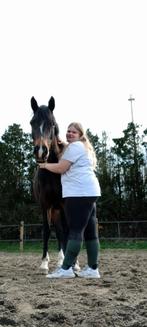 Bijrijder en verzorgster aangeboden, Dieren en Toebehoren, Paarden en Pony's | Verzorgingsproducten, Ophalen of Verzenden, Zo goed als nieuw