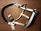Wit Eskadron halster maat Full, Ophalen of Verzenden, Nieuw, Overige soorten