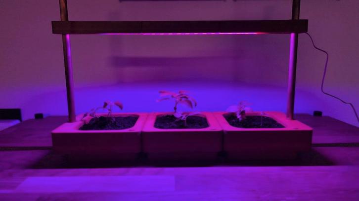 3D Geprinte Kruidentuin met LED Verlichting., Tuin en Terras, Kweekspullen, Nieuw, Kweekbak, Ophalen of Verzenden