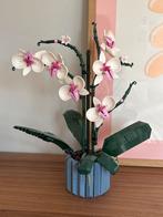 LEGO Orchidee - Prachtige Bloemen van lego, Huis en Inrichting, Kamerplanten, Ophalen, Overige soorten, Halfschaduw, In pot