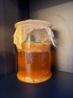 Kombucha Scoby, Diversen, Levensmiddelen, Ophalen