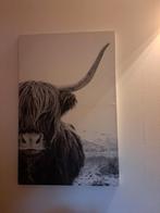 doek Schotse hooglander, Ophalen