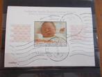2003 - gest, blok prinses amalia (907h), Postzegels en Munten, Postzegels | Nederland, Verzenden, Gestempeld