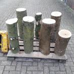 spijkerstam hakblok boomstam bloemenzuil aambeeld, Minder dan 3 m³, Ophalen