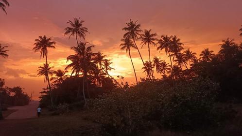 Roer om: leuk hotel op Sri Lanka, Huizen en Kamers, Buitenland, Buiten Europa, Overige soorten, Landelijk, Verkoop zonder makelaar