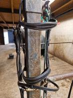 Hoofdstel, borsttuig, springsingel & veelzijdigheidszadel, Ophalen, Zo goed als nieuw, Overige soorten