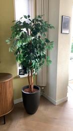 Mooie Kunstplant in zwarte pot, Tuin en Terras, Bloempotten, Kunststof, Rond, Binnen, Zo goed als nieuw