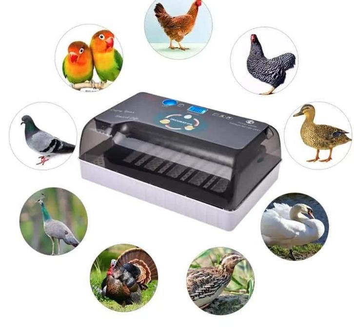 Broedmachine nieuw, Dieren en Toebehoren, Pluimvee | Toebehoren, Nieuw, Broedmachine, Ophalen of Verzenden