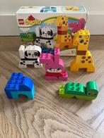 Duplo 10573, Ophalen of Verzenden, Gebruikt, Complete set, Duplo