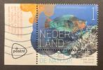 2024 Modern Ned Onderwaternatuur Bonaire nvph 4208 hoek gest, Postzegels en Munten, Verzenden, Na 1940, Gestempeld