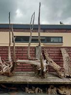 Mooie grote stukken wortelhout, Ophalen, Nieuw, Plant(en), Steen of Hout