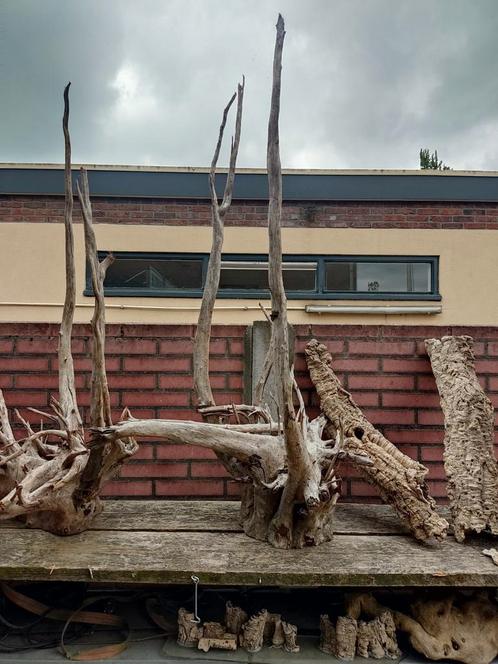 Mooie grote stukken wortelhout, Dieren en Toebehoren, Vissen | Aquaria en Toebehoren, Nieuw, Plant(en), Steen of Hout, Ophalen
