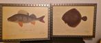 2 Ikea vis schilderijen, Antiek en Kunst, Ophalen of Verzenden