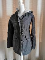 Winterjas Hollister Grijs maat xs, Ophalen of Verzenden, Maat 34 (XS) of kleiner, Grijs, Gedragen