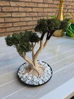 3D Geprinte Bonsai Boompjes met Mos & Stenen, Ophalen of Verzenden, Nieuw