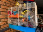 Hamster escape / parcours plus 3 kooien, Dieren en Toebehoren, Kooi, Minder dan 75 cm, Hamster, Ophalen