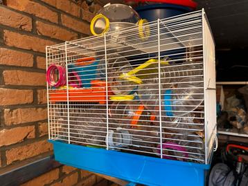 Hamster escape / parcours plus 3 kooien beschikbaar voor biedingen