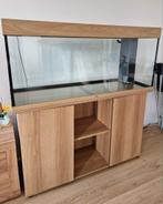 Juwel aquarium 240L+ juwel smartfeed voederautomaat, Ophalen, Zo goed als nieuw, Leeg aquarium