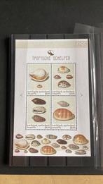 Cataibisch Nederland Bonaire schelpen/2363, Ophalen of Verzenden