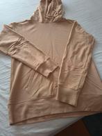Heren Trui met Hoedje - Maat M, Overige kleuren, Onbekend, Maat 48/50 (M), Ophalen of Verzenden