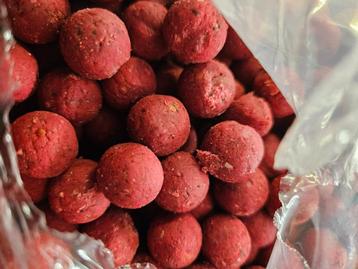  Fish Garlic Robin Red 5 kilo 25mm  € 12,50 beschikbaar voor biedingen