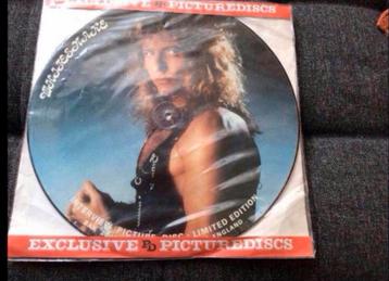 White Snake 💥 intervieuw PicktureDisc 💥 Ophalen €10,00 beschikbaar voor biedingen