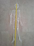 glow in the dark halloween, Ophalen of Verzenden, Zo goed als nieuw, Feestartikel, Halloween of Griezel