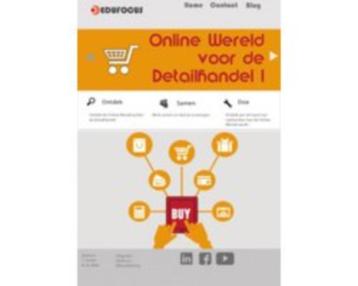 Online wereld voor de detailhandel 9789462710511 beschikbaar voor biedingen