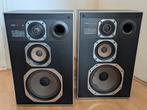 Philips 22AN484 / 484 3-weg, Audio, Tv en Foto, Luidsprekers, Ophalen, Gebruikt, Front, Rear of Stereo speakers, Philips