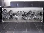 Schilderij foto op glas Zebra's savanne Afrika gloednieuw!!!, 50 tot 75 cm, Overige typen, Nieuw, 125 cm of meer